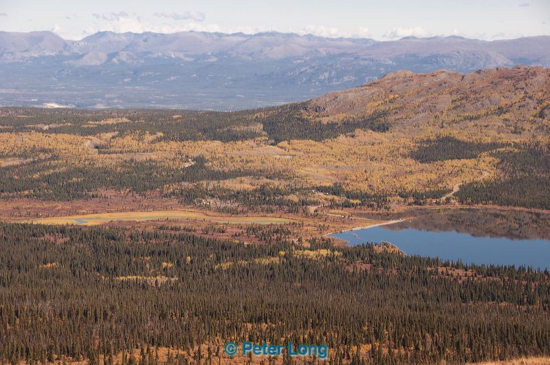 dsc_1088.jpg