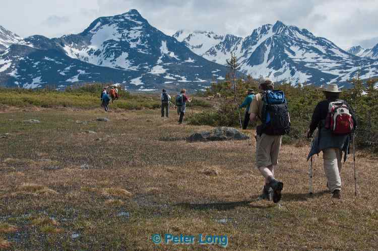 dsc_0165.jpg