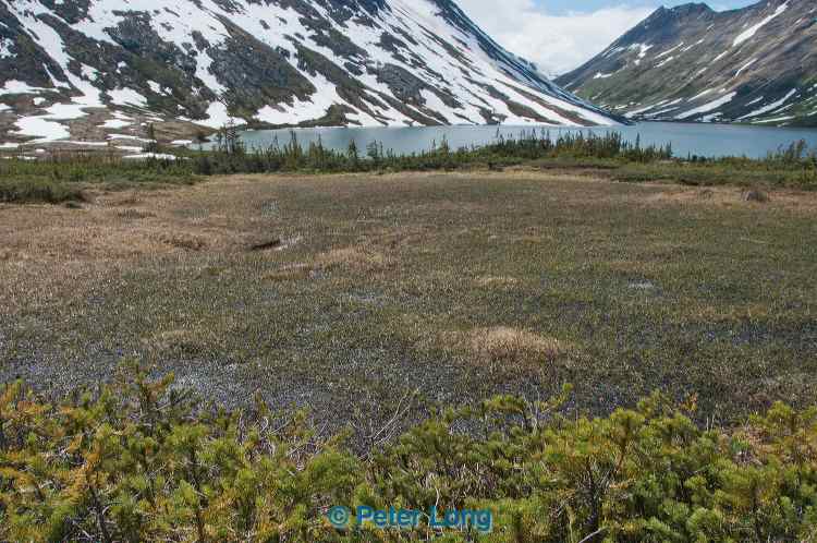 dsc_0166.jpg