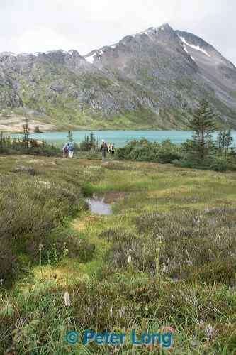 dsc_1339.jpg