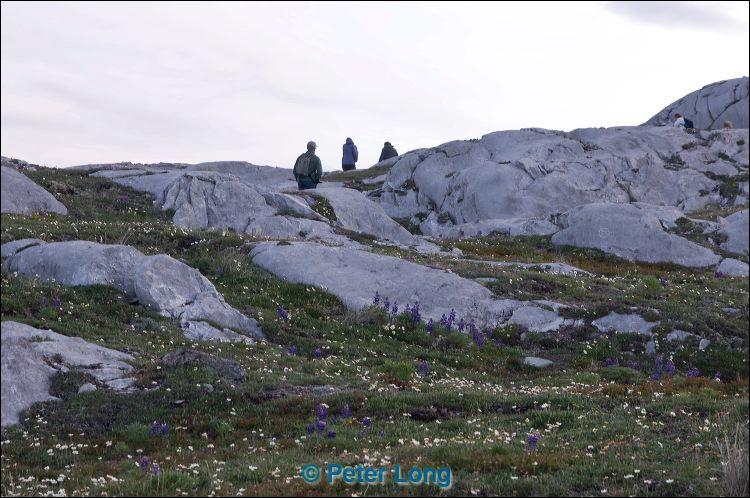 dsc_0436.jpg