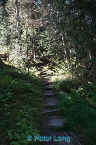 dsc_1845.jpg