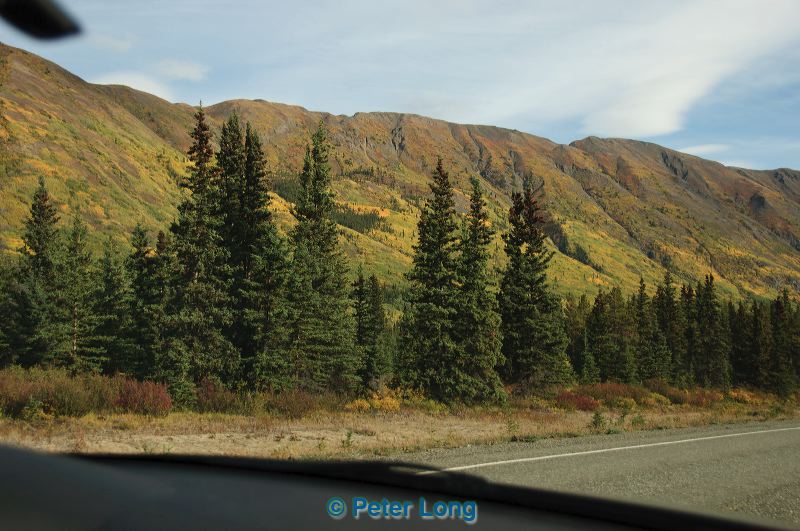 dsc_0738.jpg