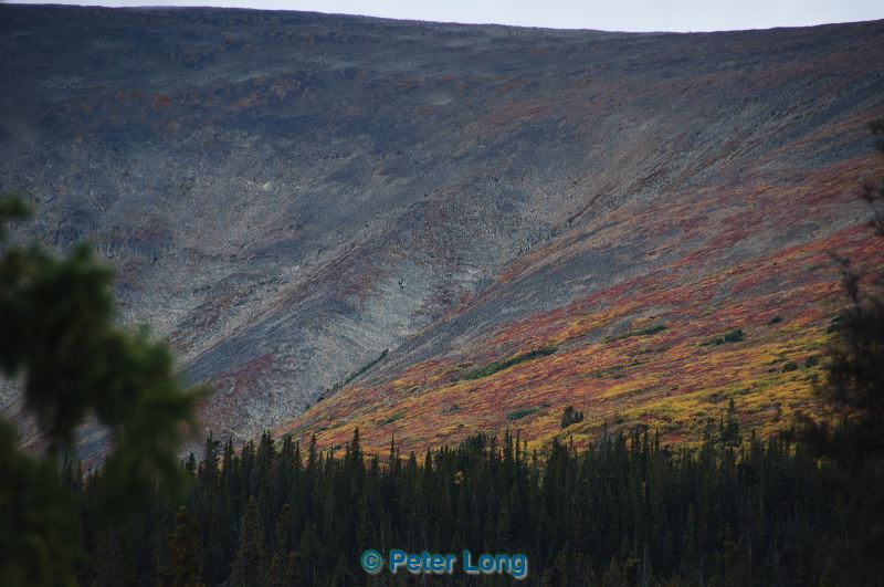 dsc_0857.jpg