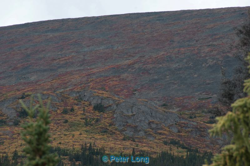 dsc_0886.jpg