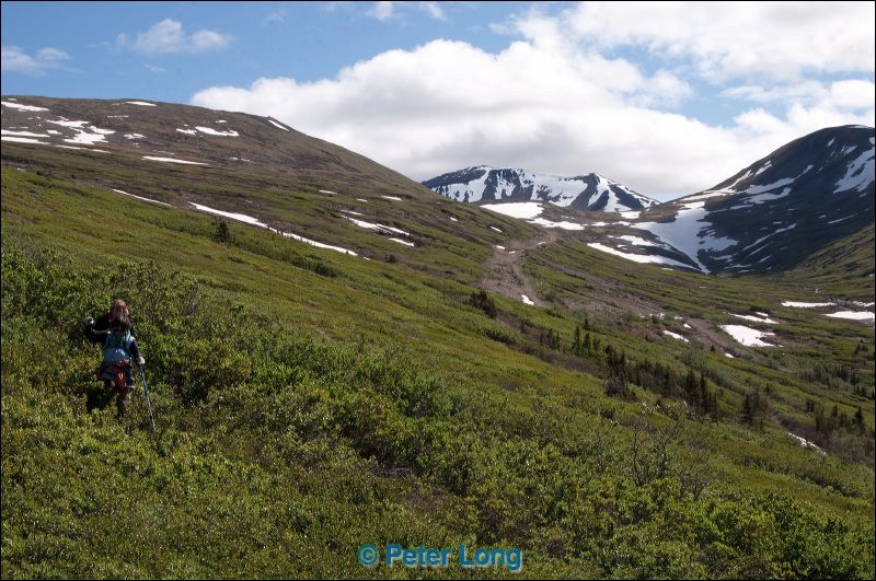 dsc_3072.jpg