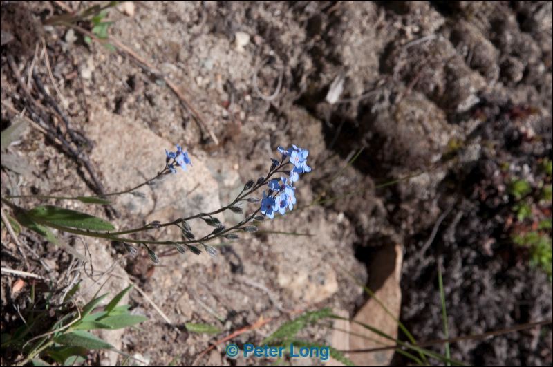 dsc_3084.jpg
