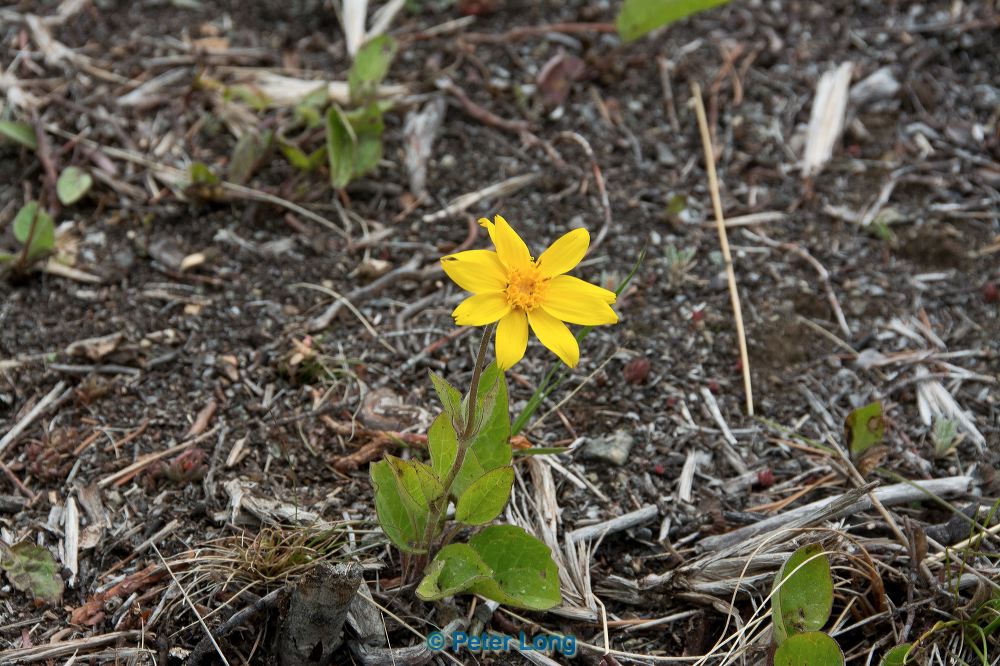 dsc_5359.jpg
