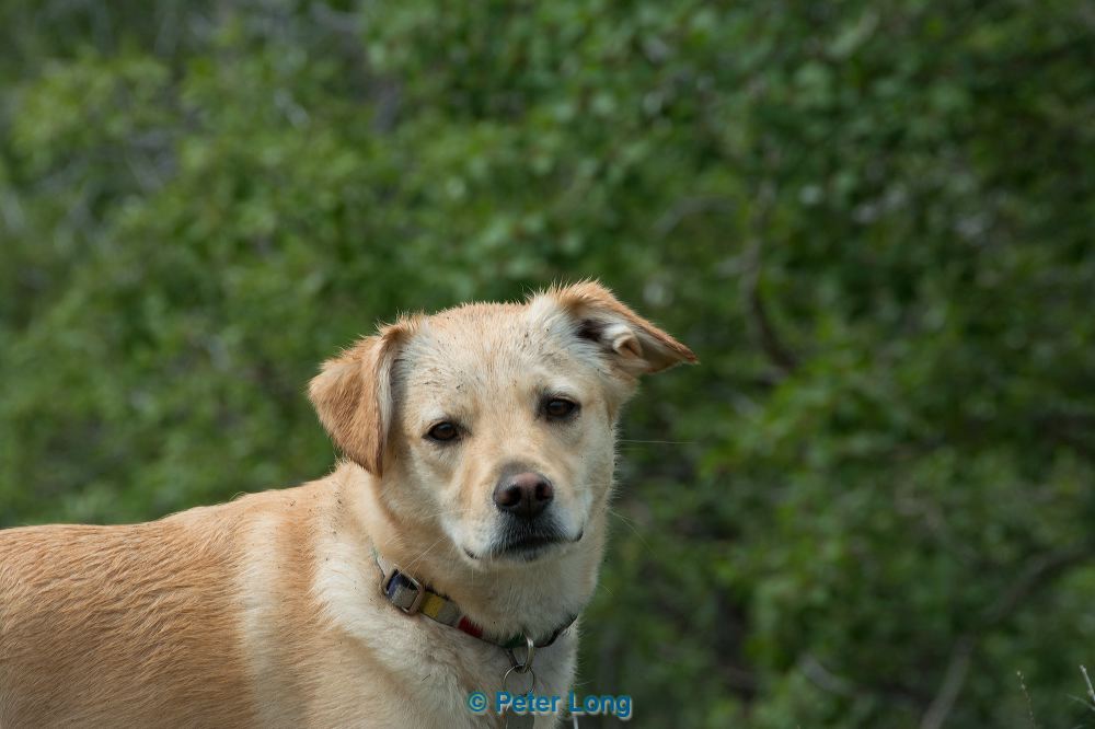 dsc_5428.jpg