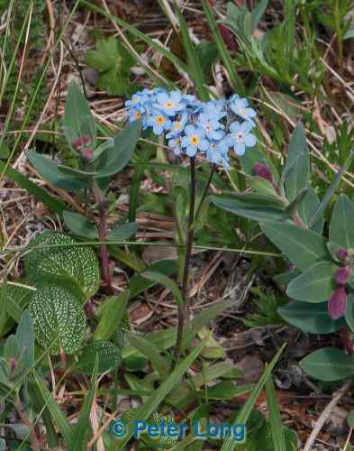 dsc_4002.jpg