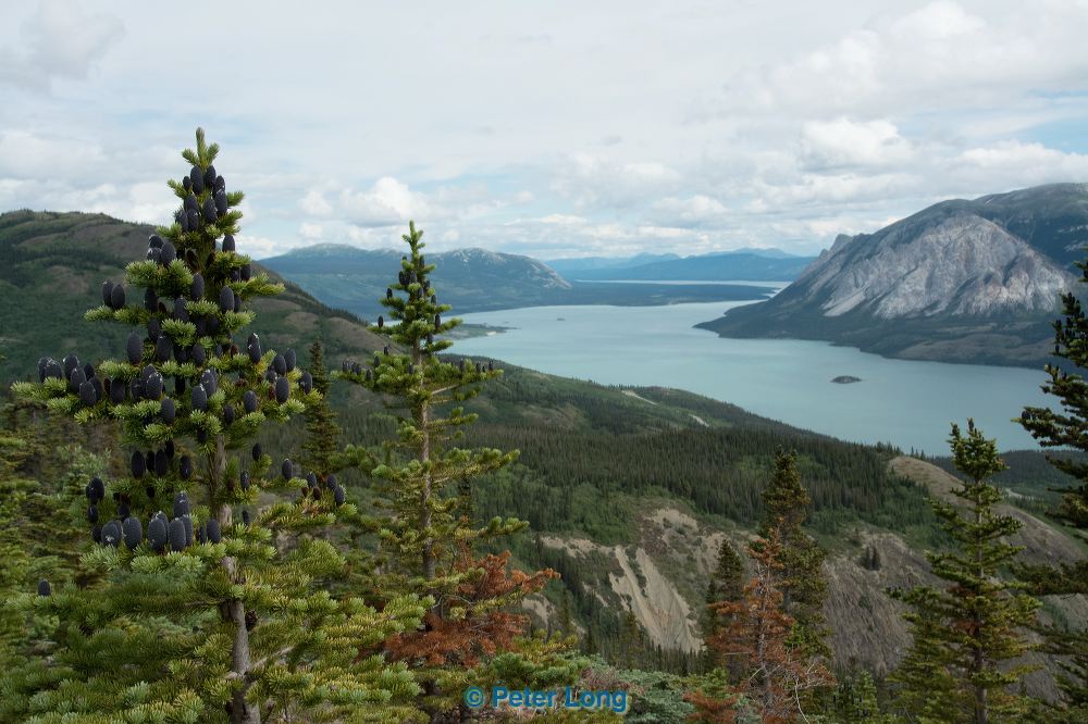 dsc_6038.jpg