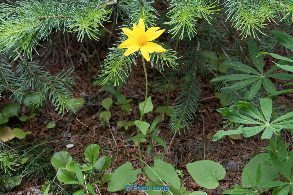 dsc_6143.jpg