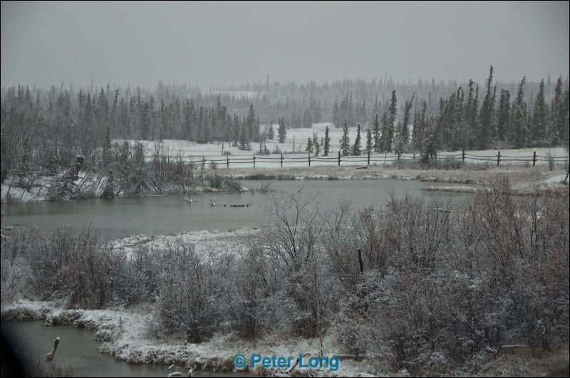 dsc_3054.jpg