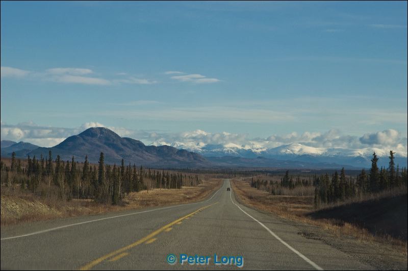 dsc_3558.jpg