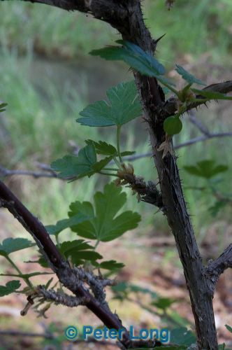 dsc_9993.jpg