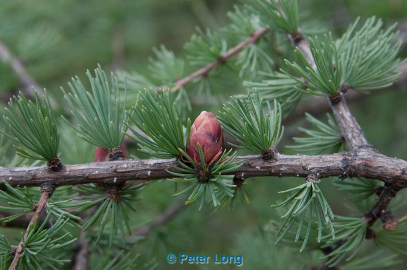 dsc_5946.jpg