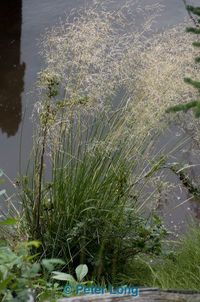 dsc_7872.jpg