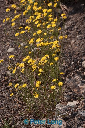 dsc_3837.jpg