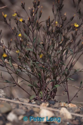 dsc_3861.jpg