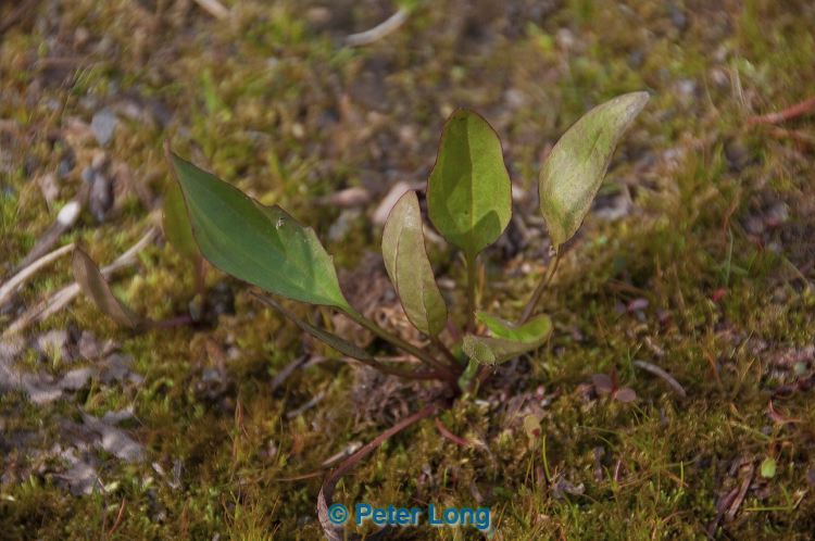 dsc_3917.jpg