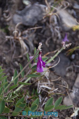 dsc_4723.jpg