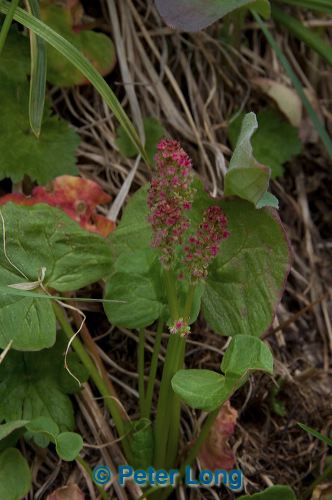 dsc_5608.jpg