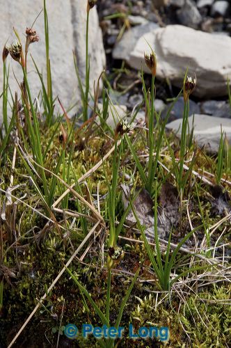 dsc_5725.jpg