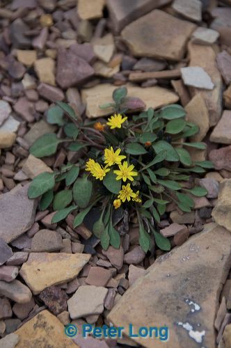dsc_6113.jpg