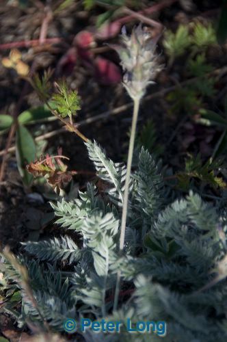 dsc_6555.jpg