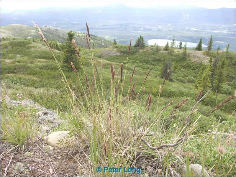 pict8767.jpg