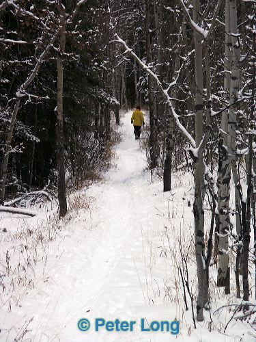0002077_p2975.jpg