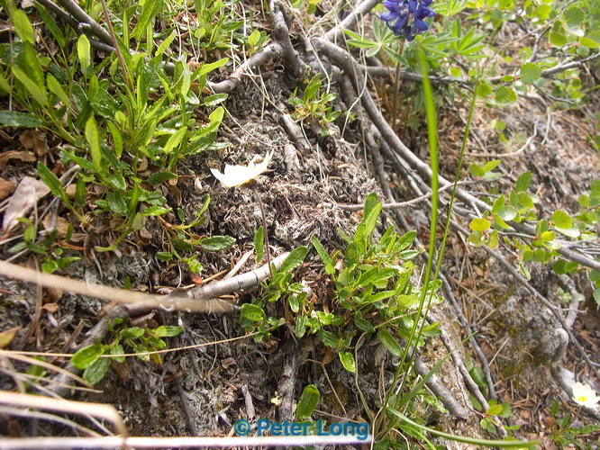 pict8214.jpg