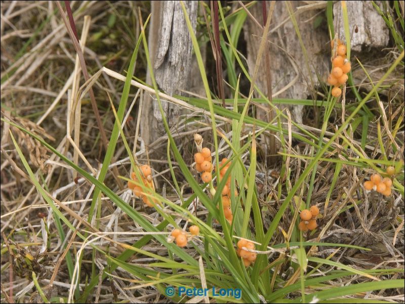 pict0566.jpg