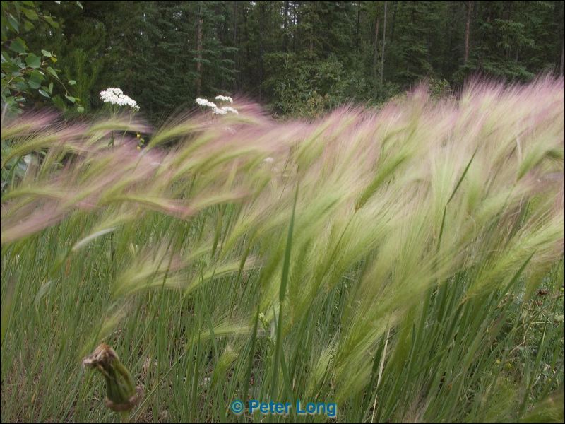 pict8496.jpg