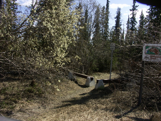 0015123_p8615.jpg