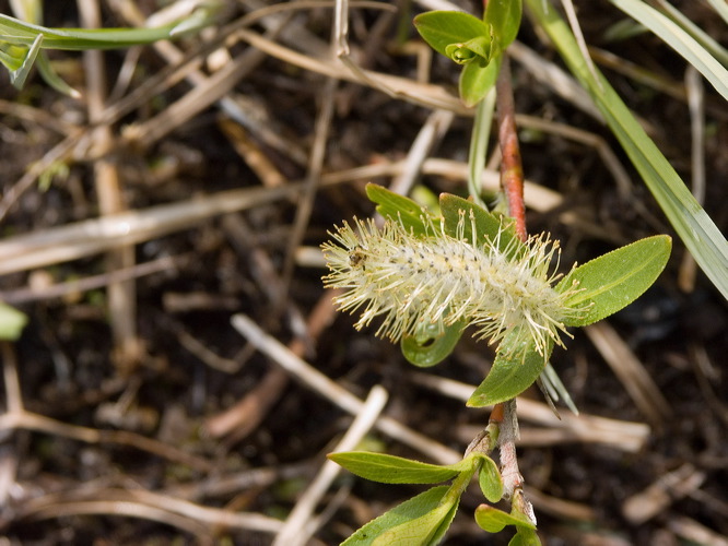 0024872_p2535.jpg