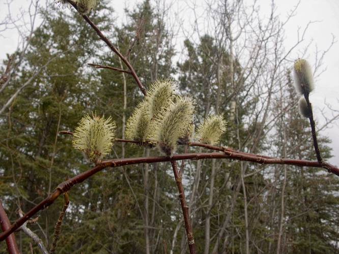 0031032_p0843.jpg