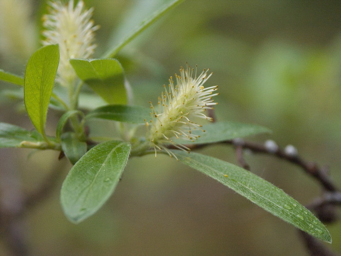 0031769_p2575.jpg