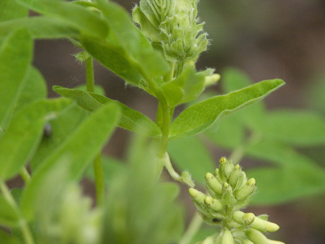 0031842_p2652.jpg