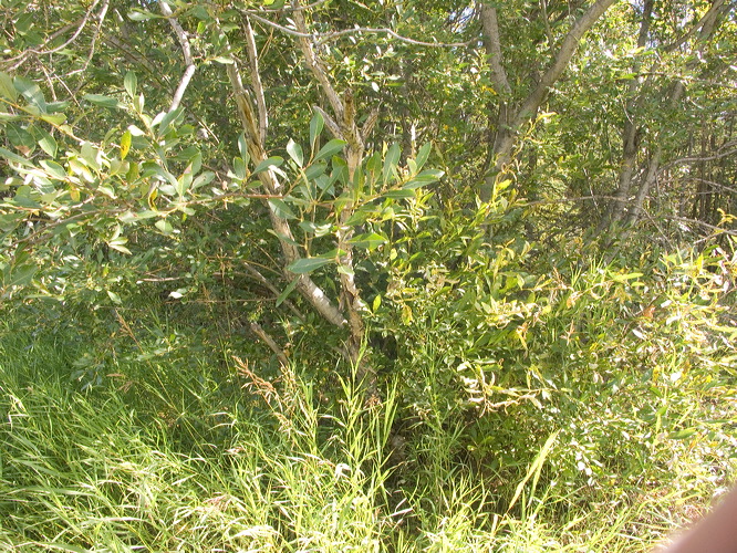 0035266_p6318.jpg