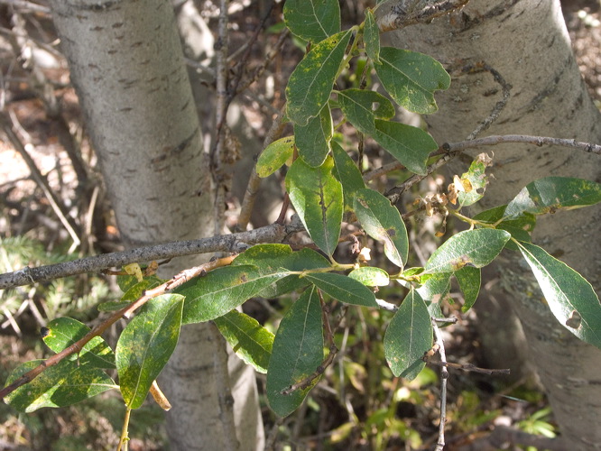 0035273_p6325.jpg