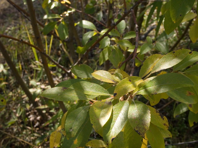 0035286_p6339.jpg