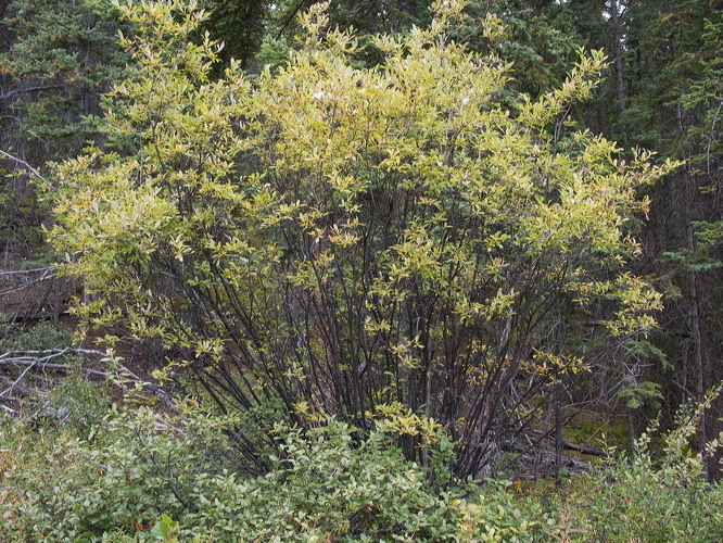 0035309_p6365.jpg