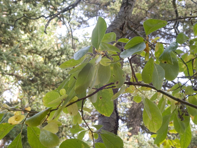 0035584_p6650.jpg