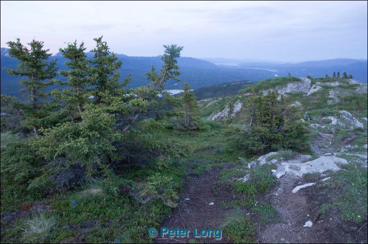 dsc_0538.jpg