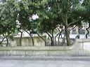 pict8360