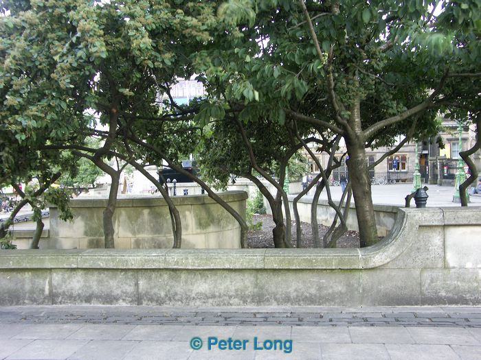 pict8360.jpg