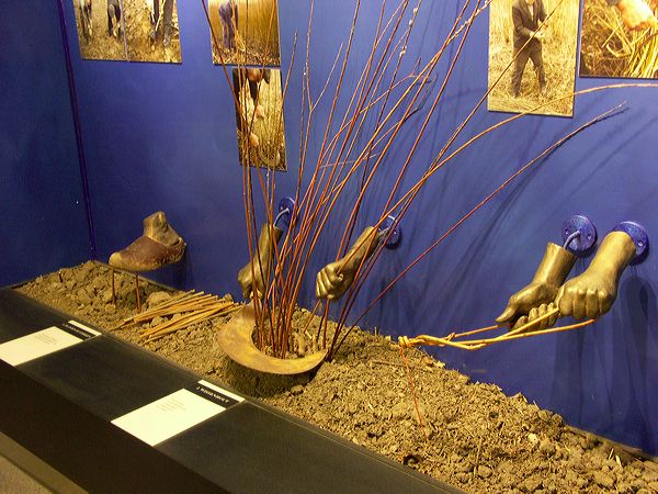 pict5737.jpg
