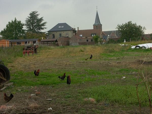 pict6342.jpg
