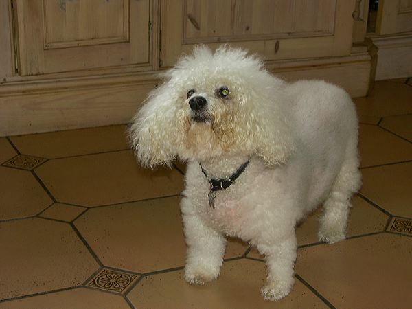pict6893.jpg